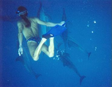 Matisha with Spinner Dolphins...coming up for air. Click to go to Ecstatic Dolphin Journey Site