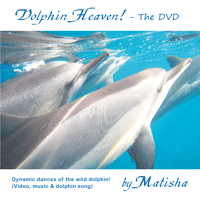 Dolphin HeavenThe 3rd DVD in the series. The synchrony of dolphin dances & music creates a joyfully enrapturing experience of 